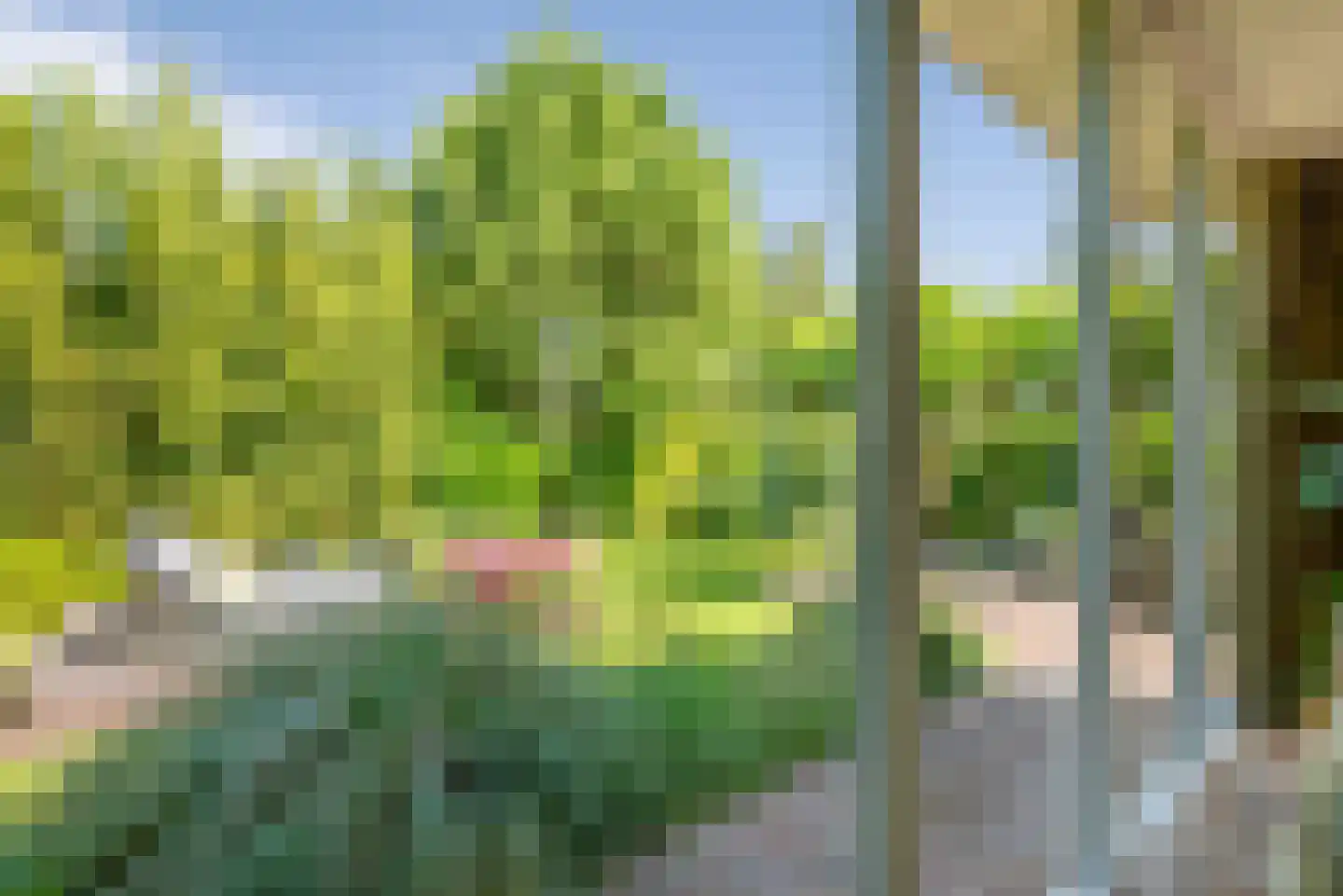 Hoendiep 15 Zaandam thumbnail 7