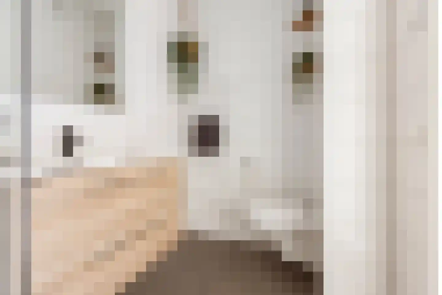 Hoendiep 155 n Groningen thumbnail 25