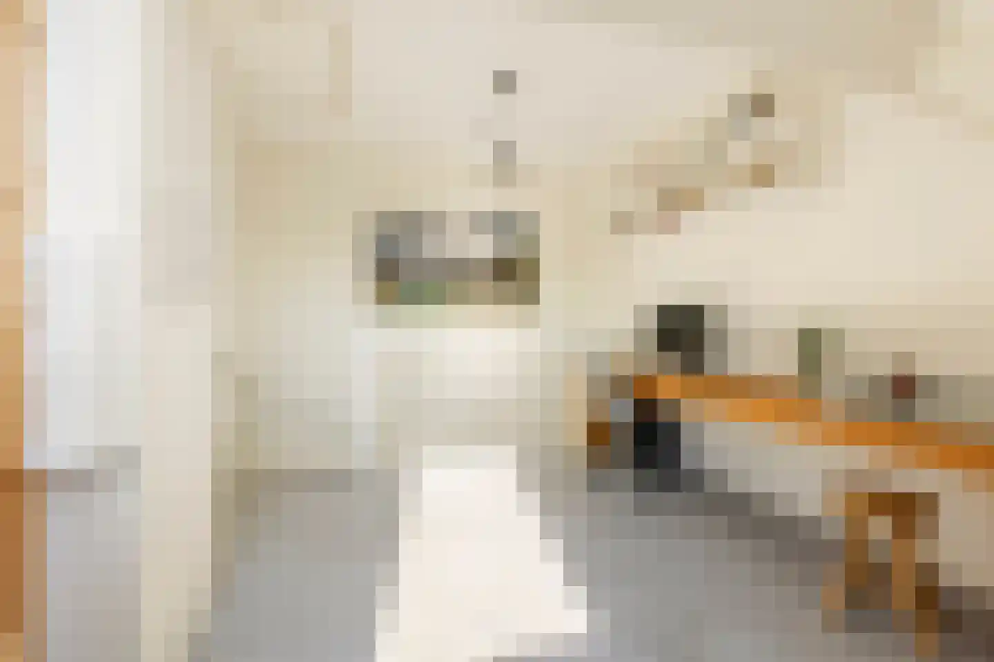 Hoendiep 155 n Groningen thumbnail 28