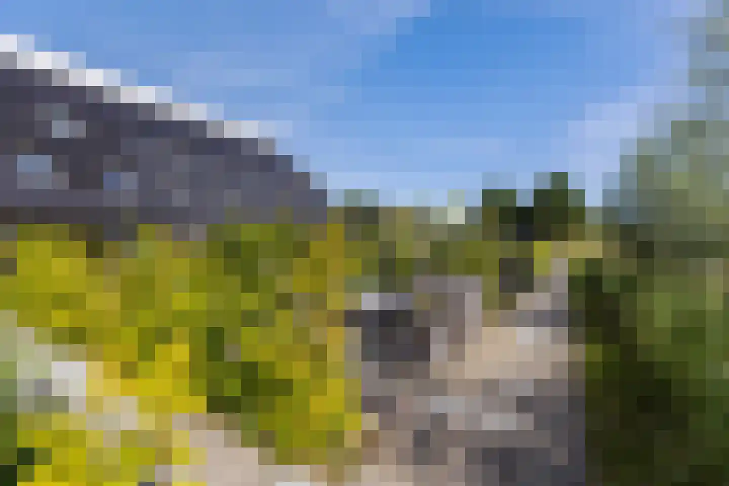 Hoendiep 155 n Groningen thumbnail 39
