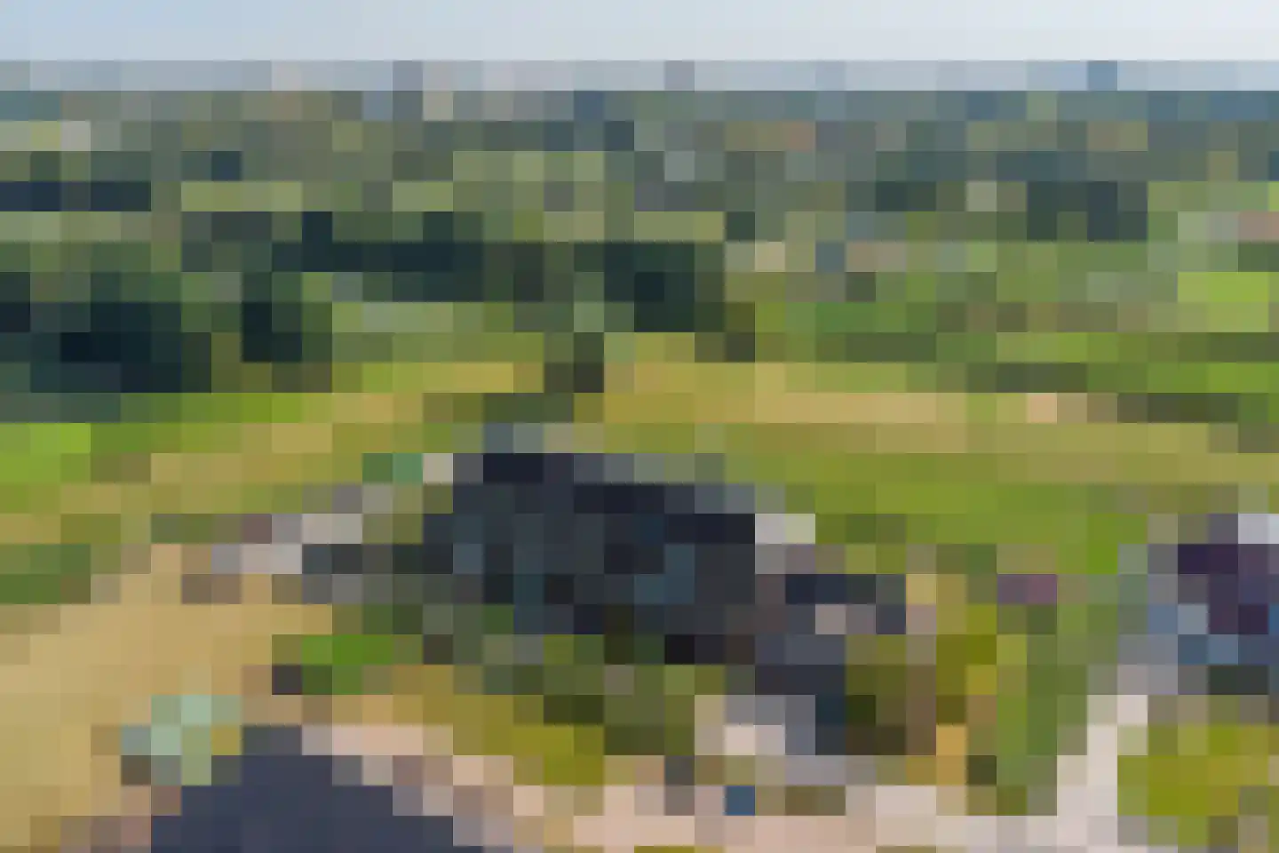 Hoendiep 155 n Groningen thumbnail 4