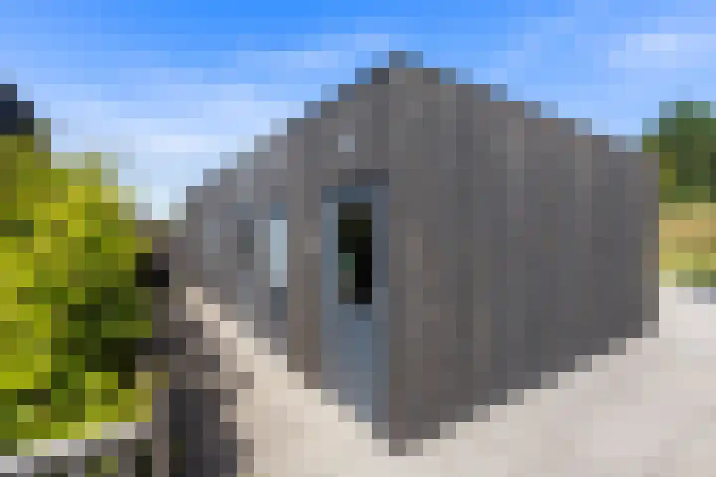 Hoendiep 155 n Groningen thumbnail 41