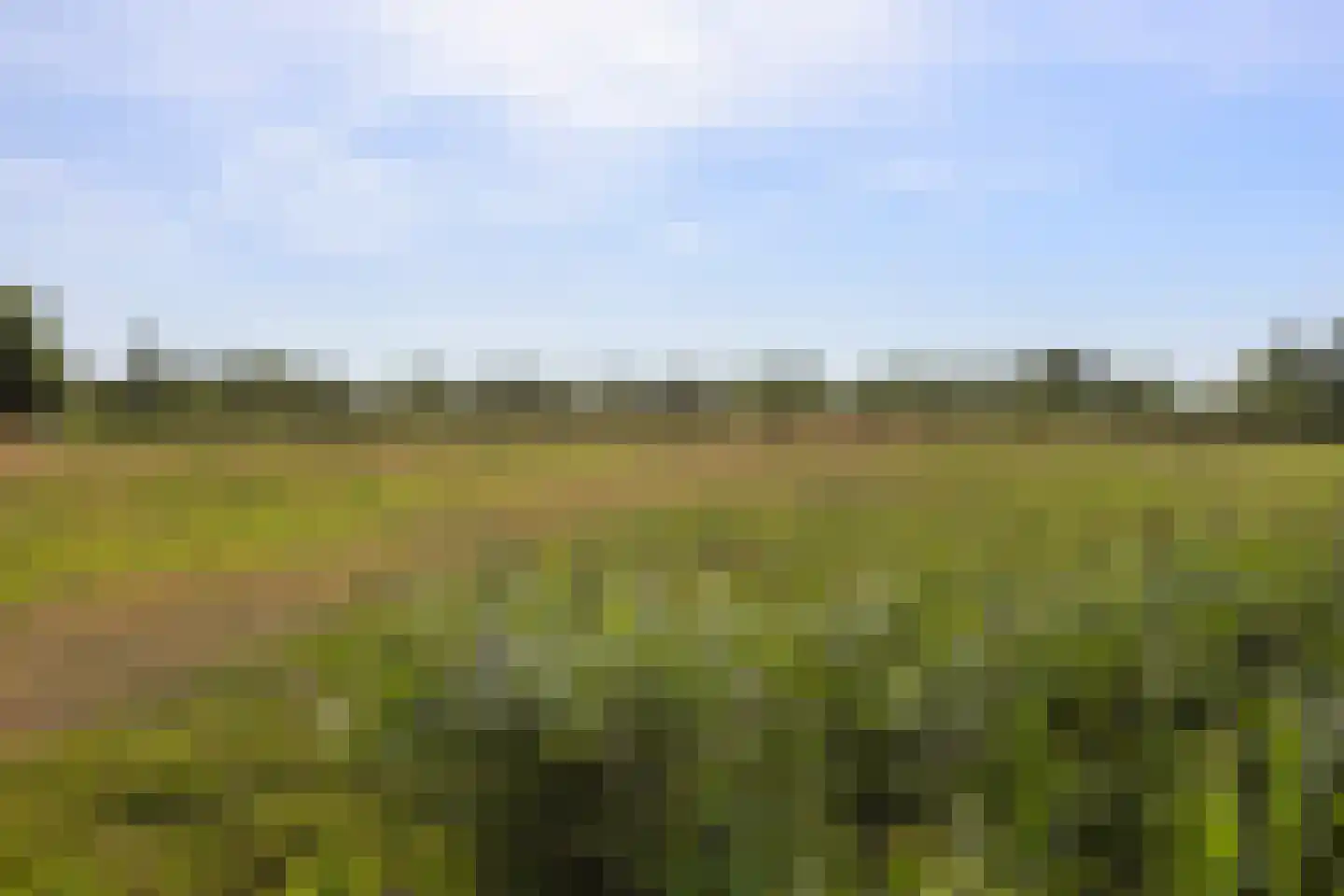 Hoendiep 155 n Groningen thumbnail 46