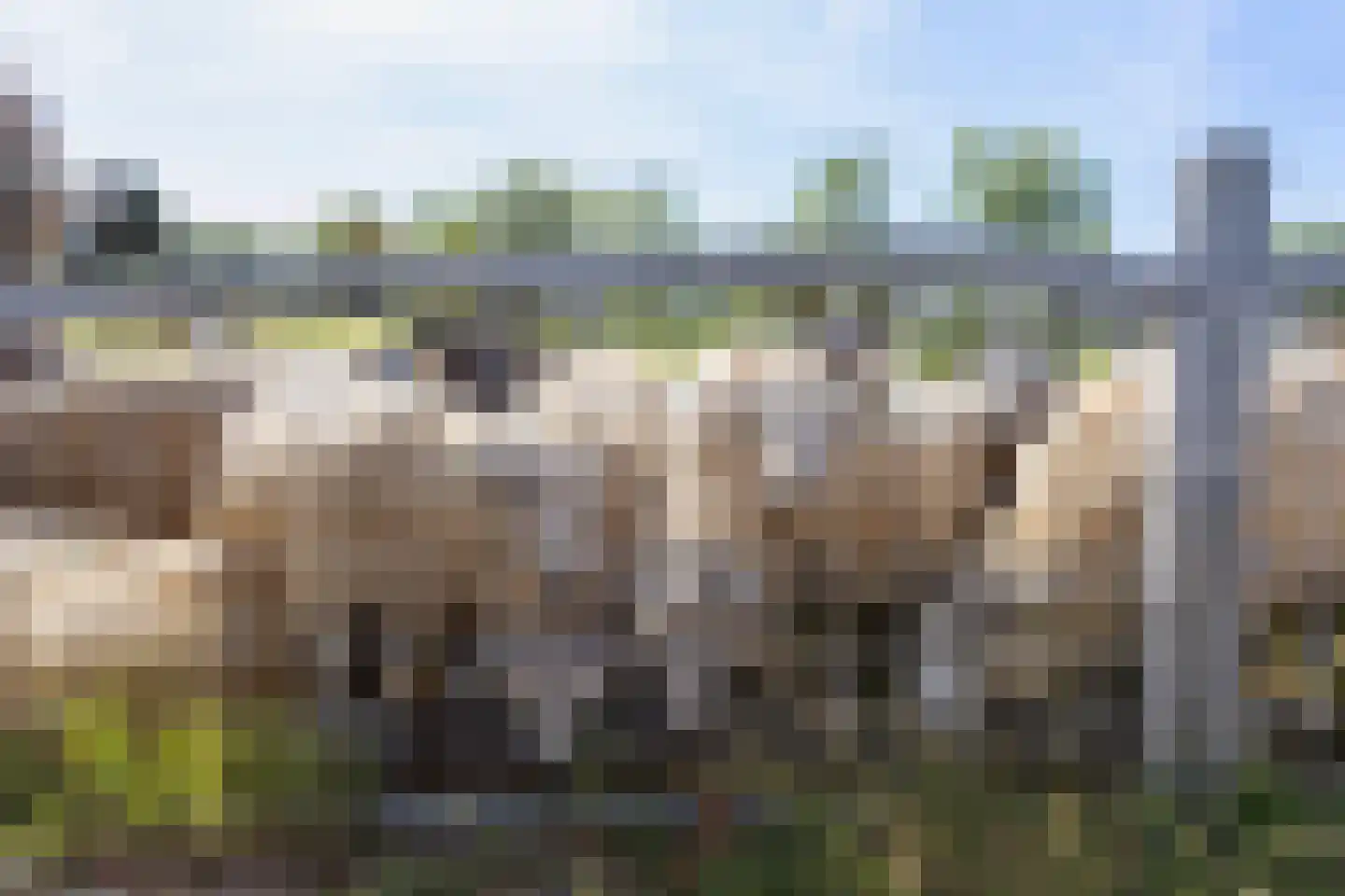 Hoendiep 155 n Groningen thumbnail 5
