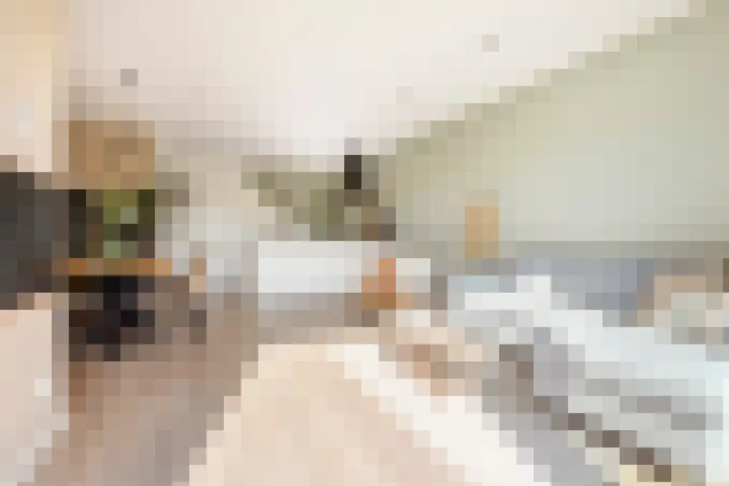 Hoendiep 155 n Groningen thumbnail 8