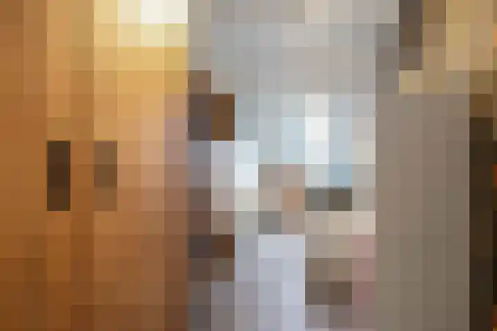 Hoendiep 155 r Groningen thumbnail 23