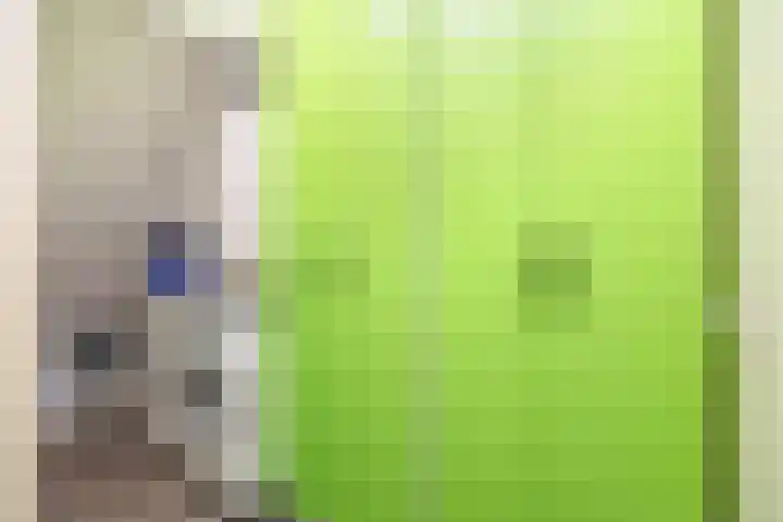Hoendiep 155 r Groningen thumbnail 30