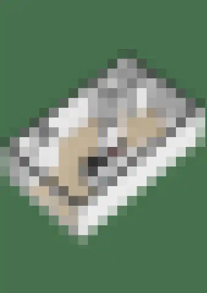 Hoendiep 155 r Groningen thumbnail 36