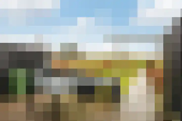 Hoendiep 155 r Groningen thumbnail 9