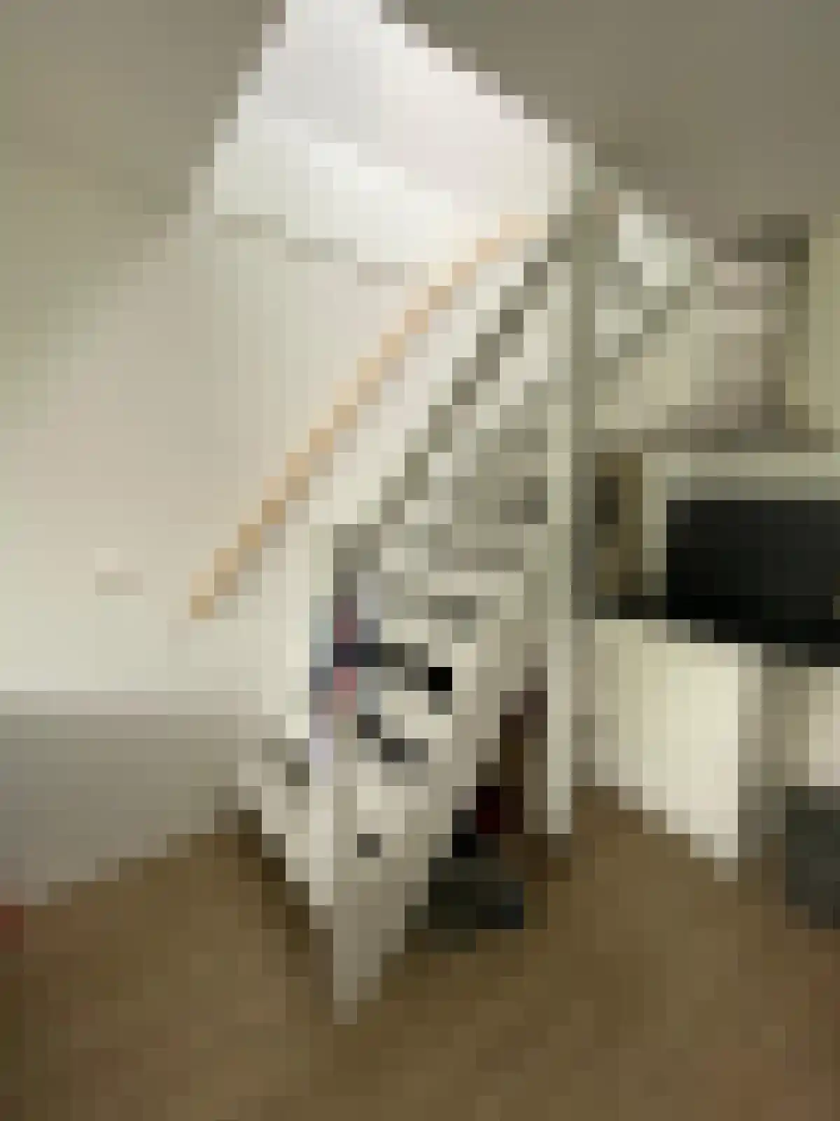 Hoendiep 17 Groningen thumbnail 6