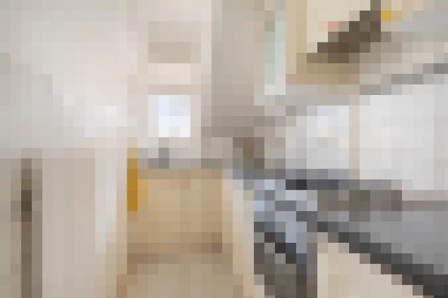 Hoendiep 25 Groningen thumbnail 10