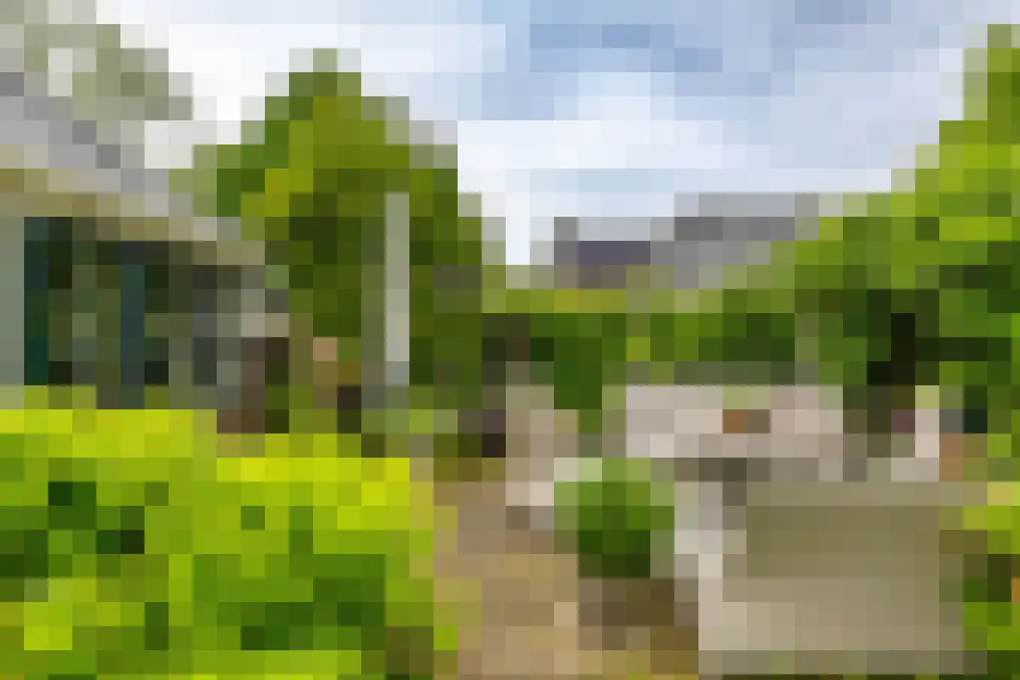 Hoendiep 26 Den Horn thumbnail 14