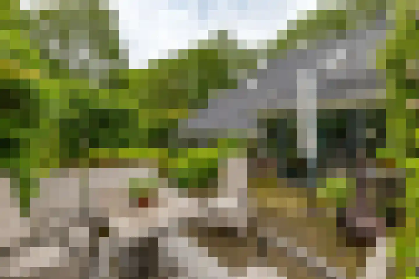 Hoendiep 26 Den Horn thumbnail 15
