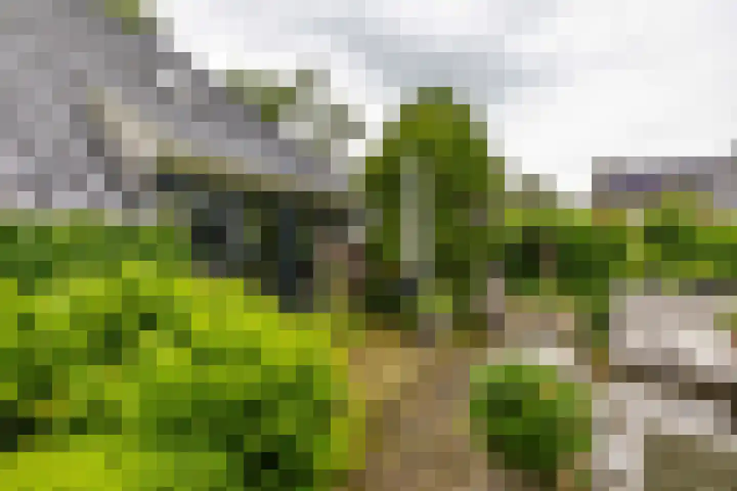 Hoendiep 26 Den Horn thumbnail 16