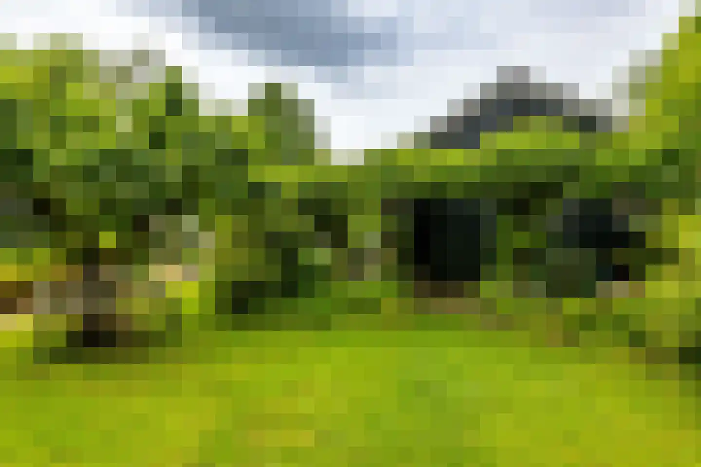 Hoendiep 26 Den Horn thumbnail 17