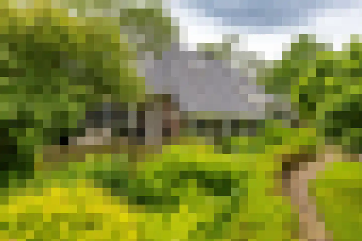 Hoendiep 26 Den Horn thumbnail 18