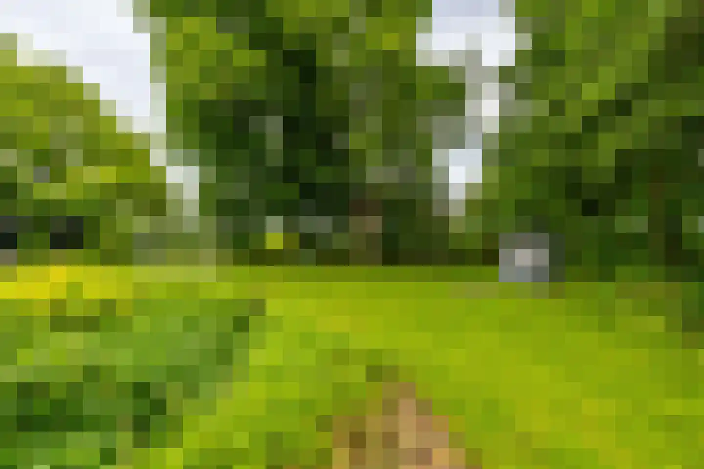 Hoendiep 26 Den Horn thumbnail 19