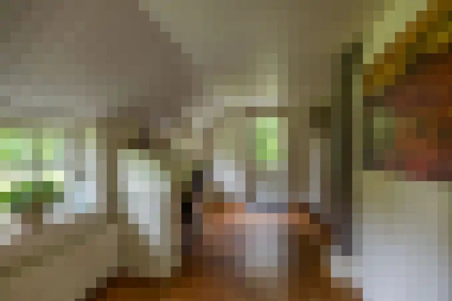Hoendiep 26 Den Horn thumbnail 25