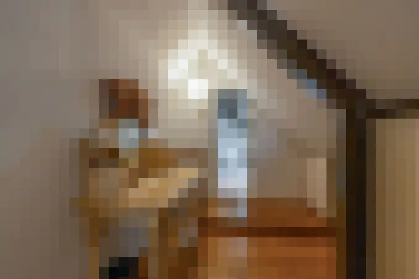 Hoendiep 26 Den Horn thumbnail 36