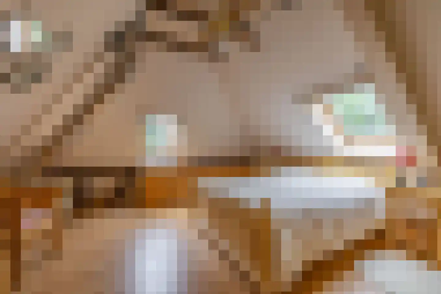Hoendiep 26 Den Horn thumbnail 37