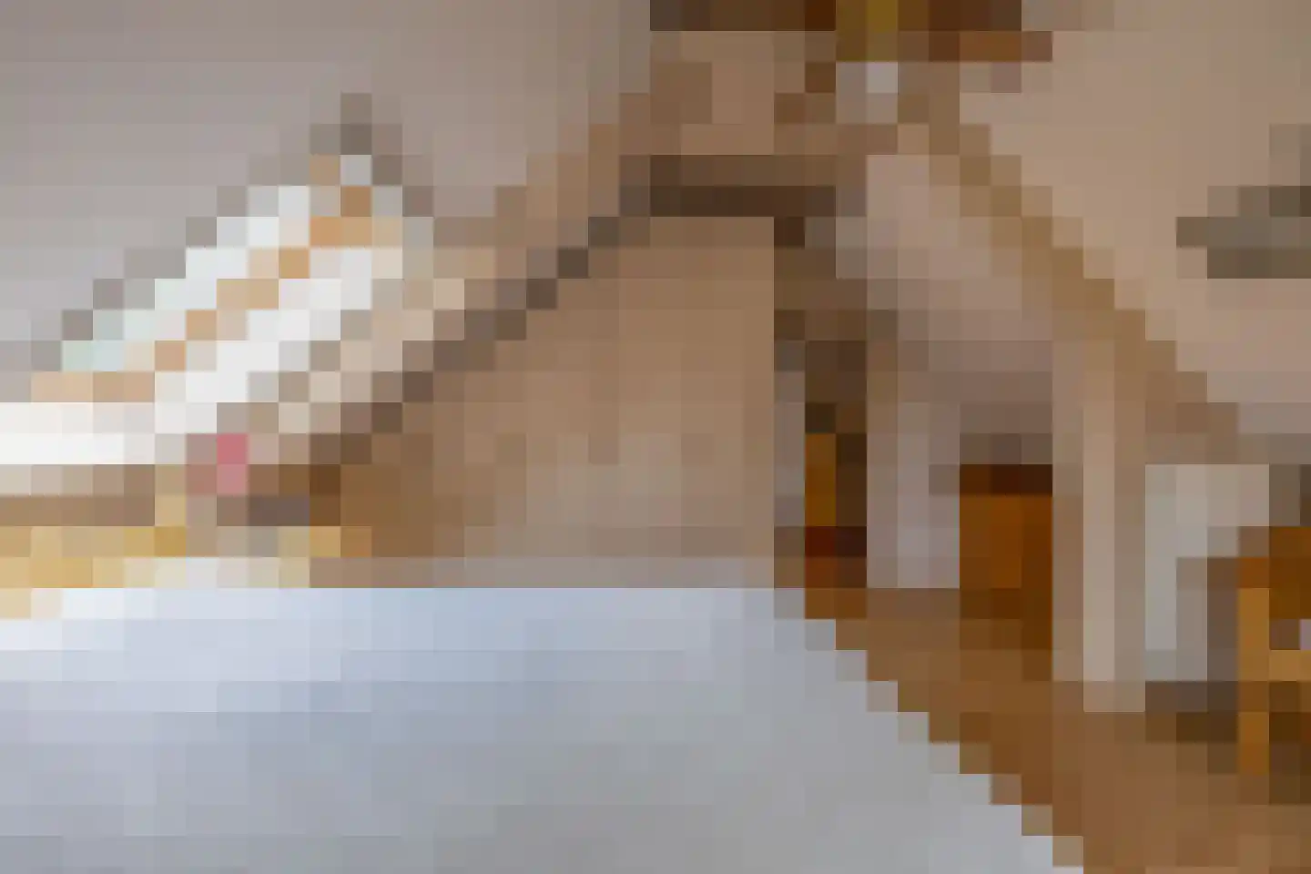 Hoendiep 26 Den Horn thumbnail 38