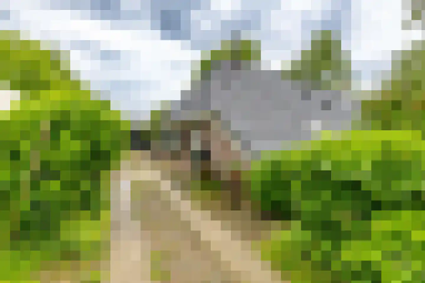 Hoendiep 26 Den Horn thumbnail 4
