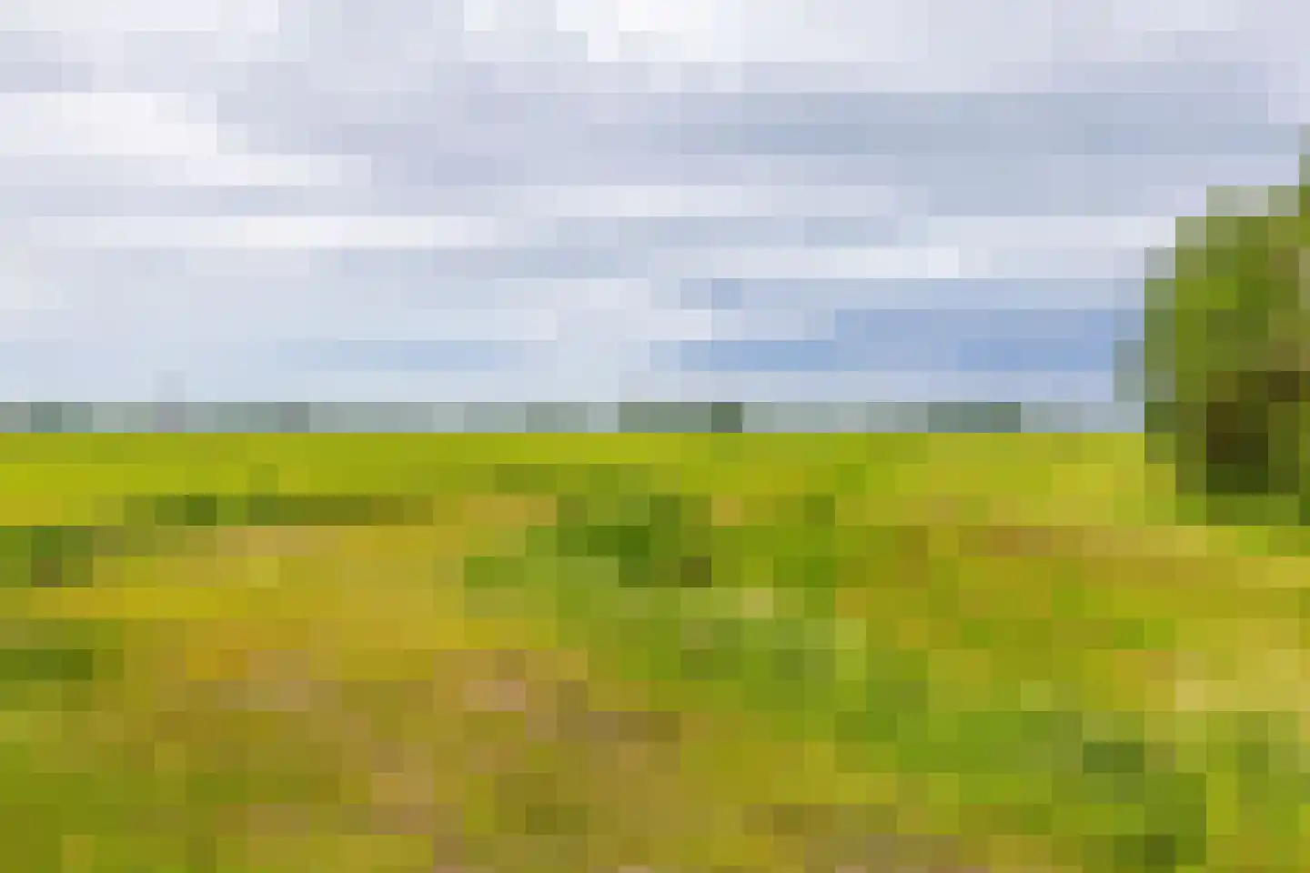 Hoendiep 26 Den Horn thumbnail 46