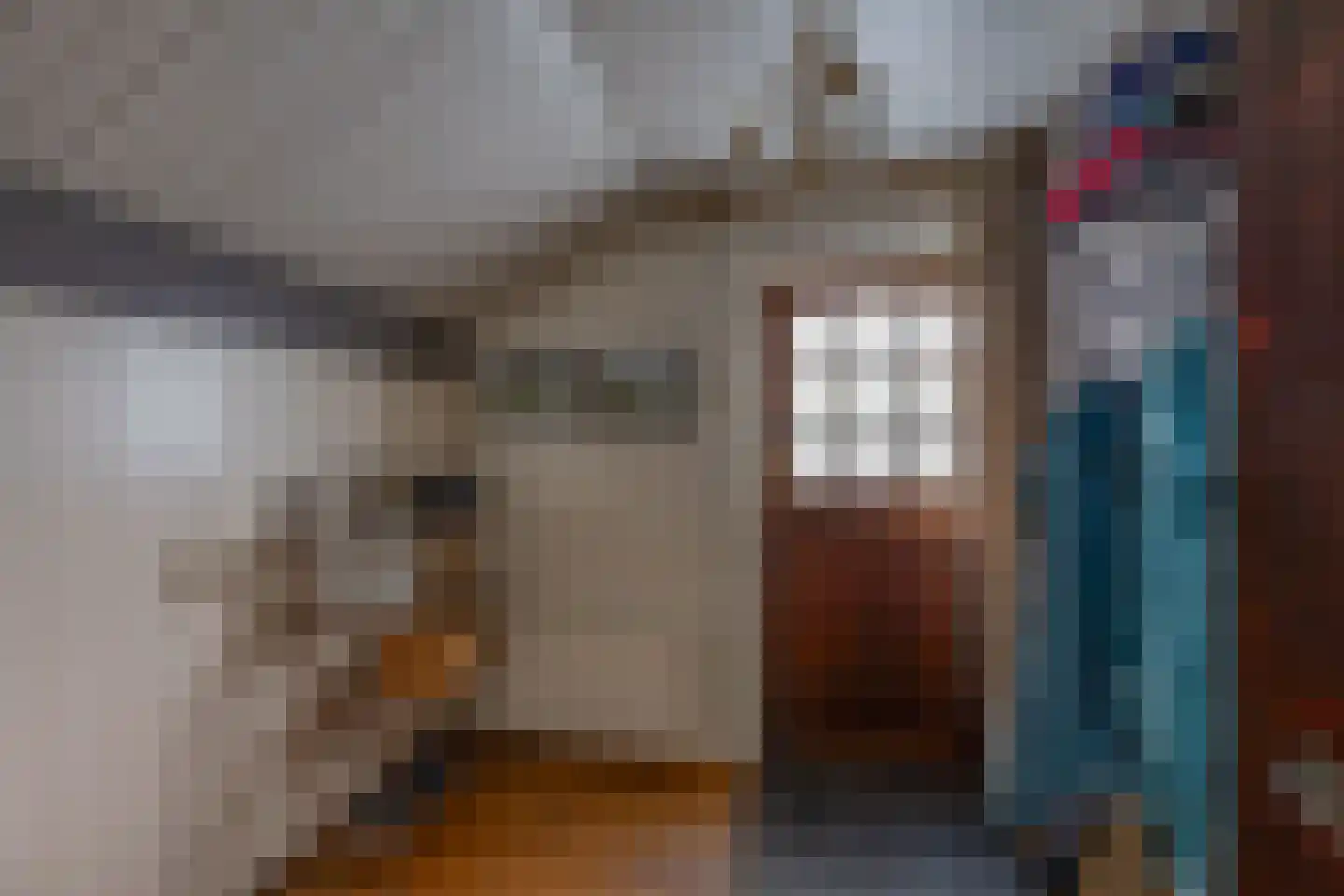 Hoendiep 26 Den Horn thumbnail 7