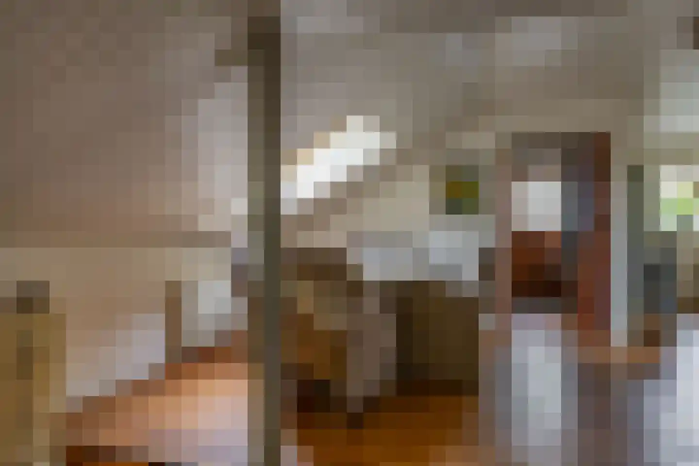 Hoendiep 26 Den Horn thumbnail 8