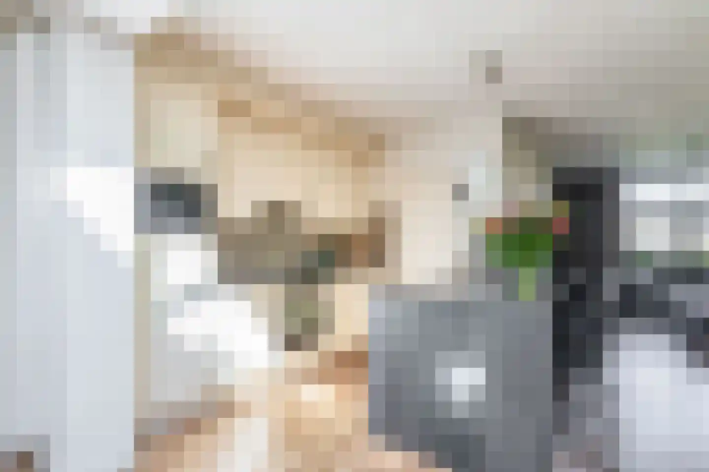 Hoendiep 27 Deurne thumbnail 15