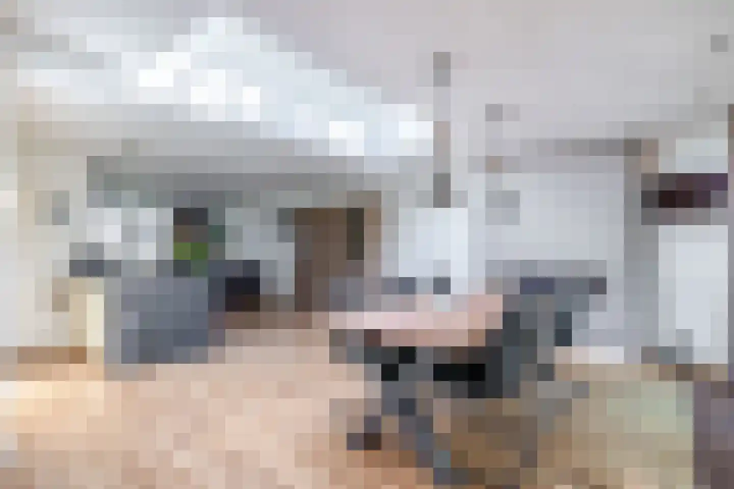 Hoendiep 27 Deurne thumbnail 17