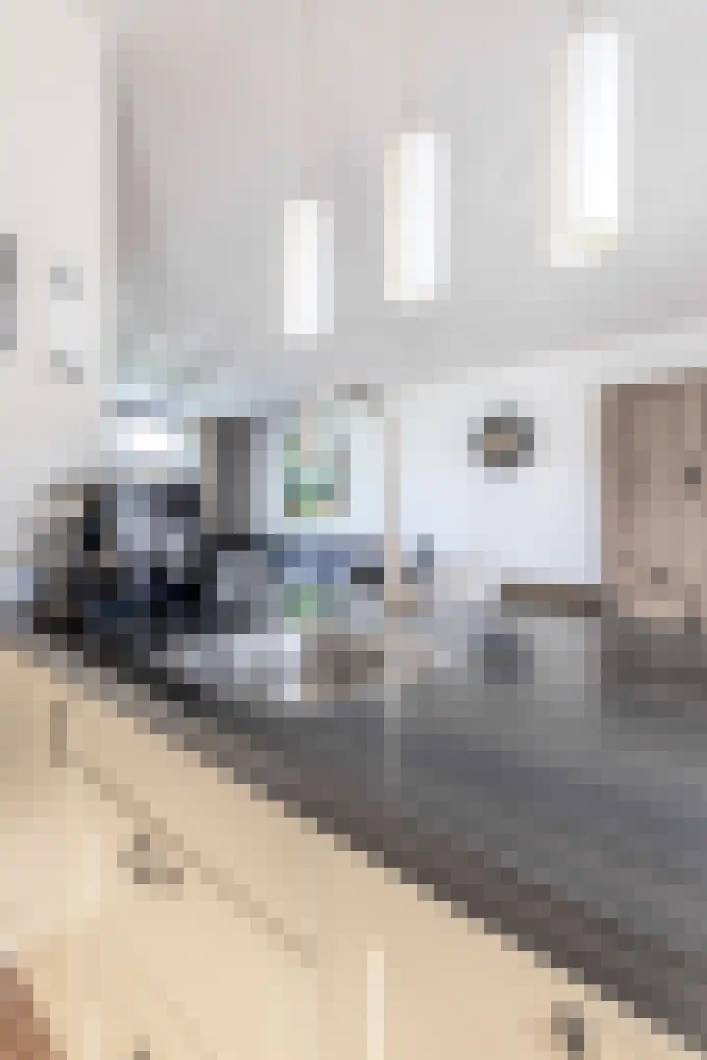 Hoendiep 27 Deurne thumbnail 18