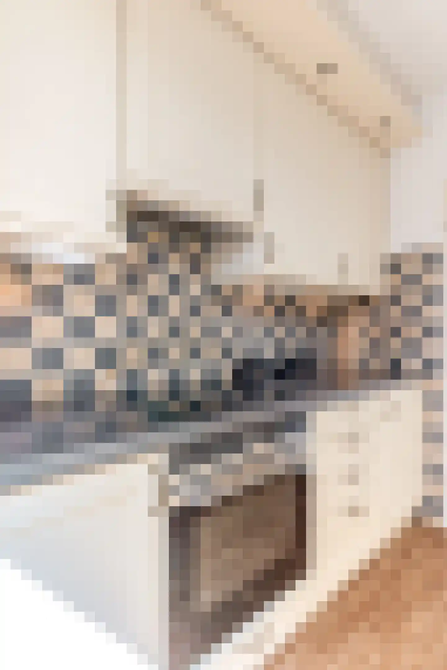 Hoendiep 27 Deurne thumbnail 19