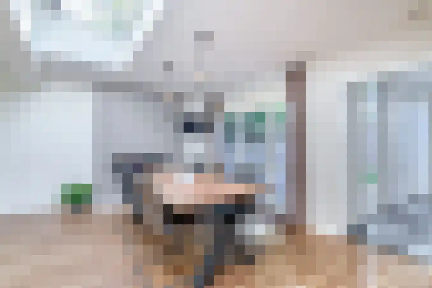 Hoendiep 27 Deurne thumbnail 21