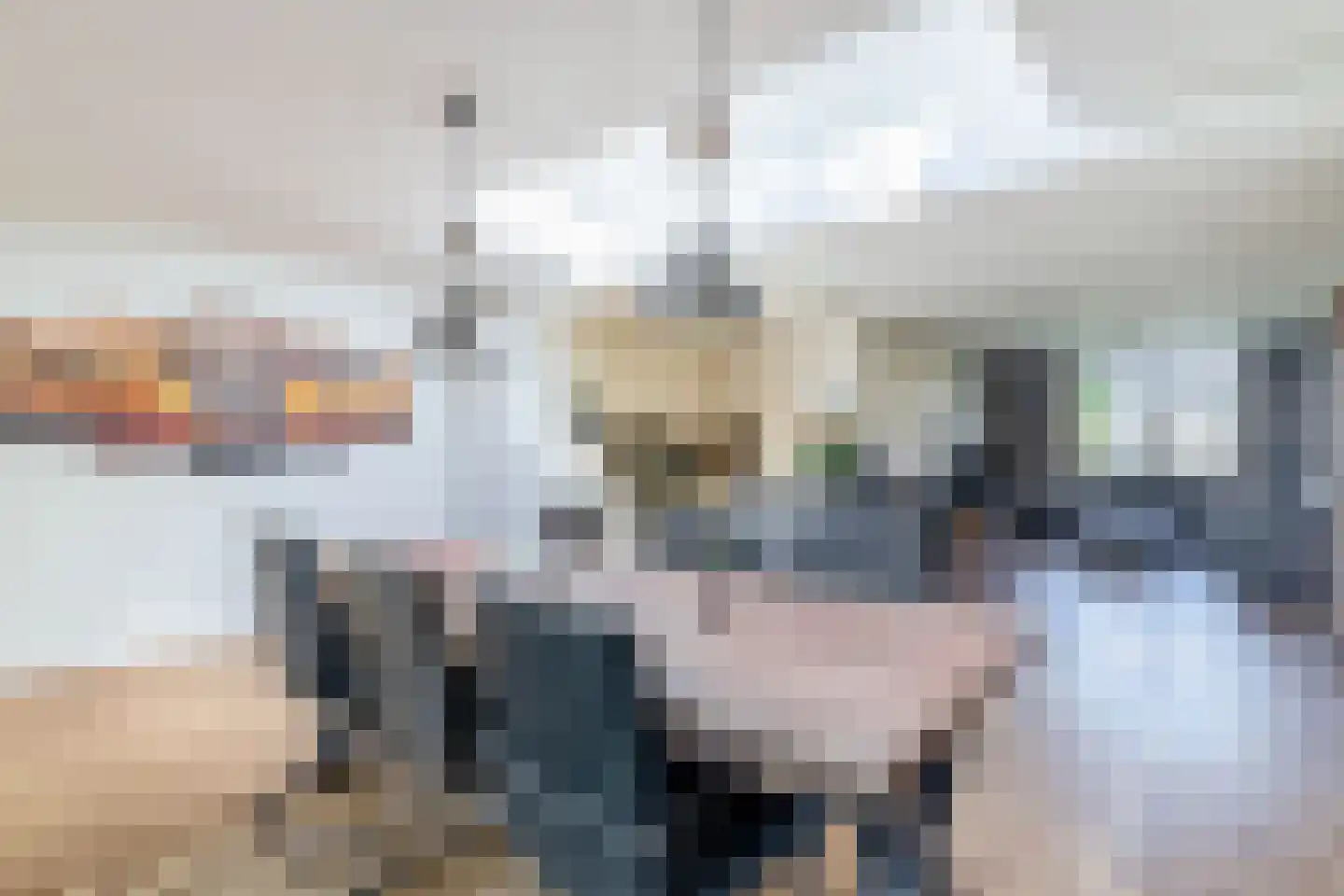 Hoendiep 27 Deurne thumbnail 23