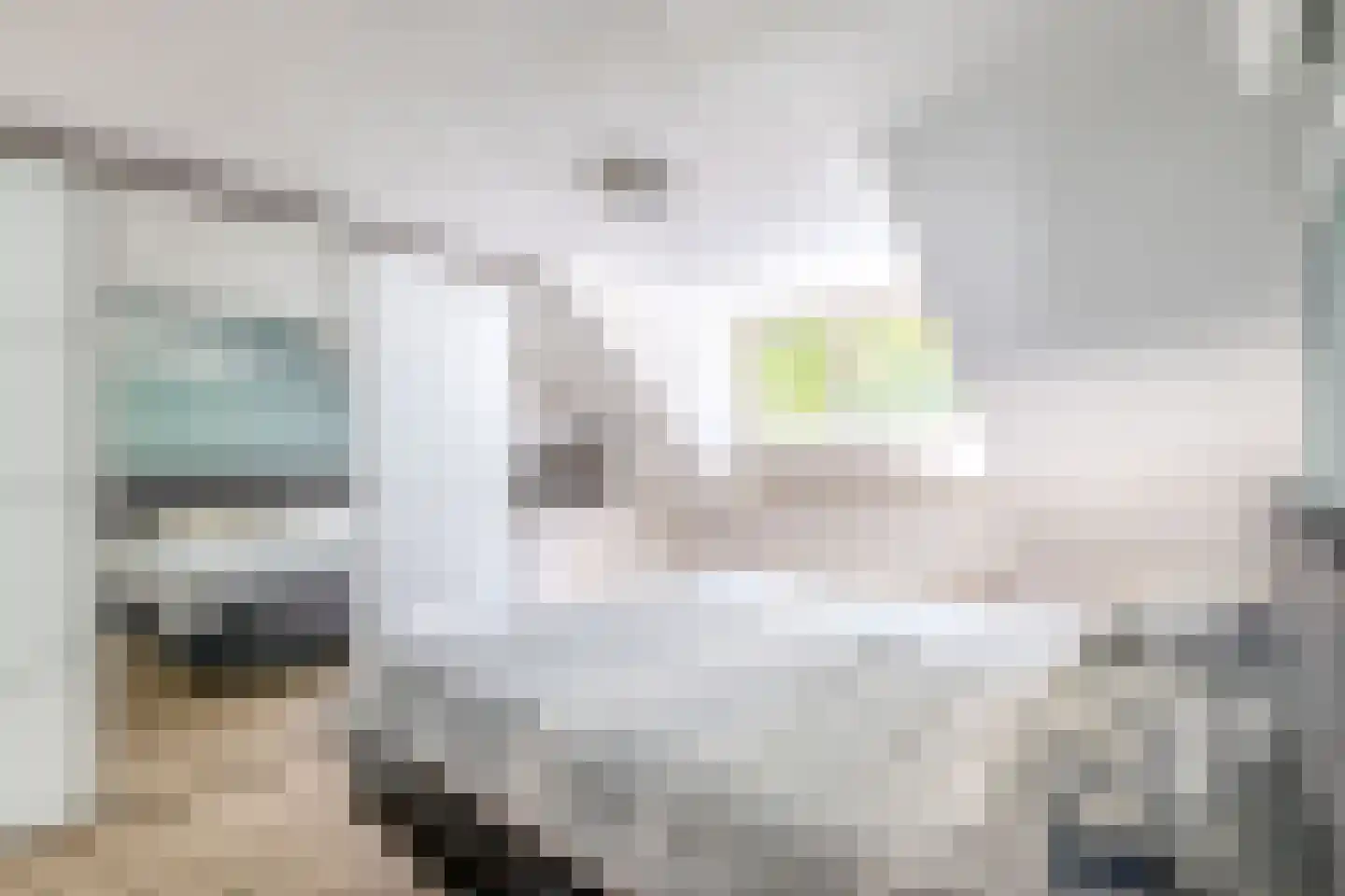 Hoendiep 27 Deurne thumbnail 28