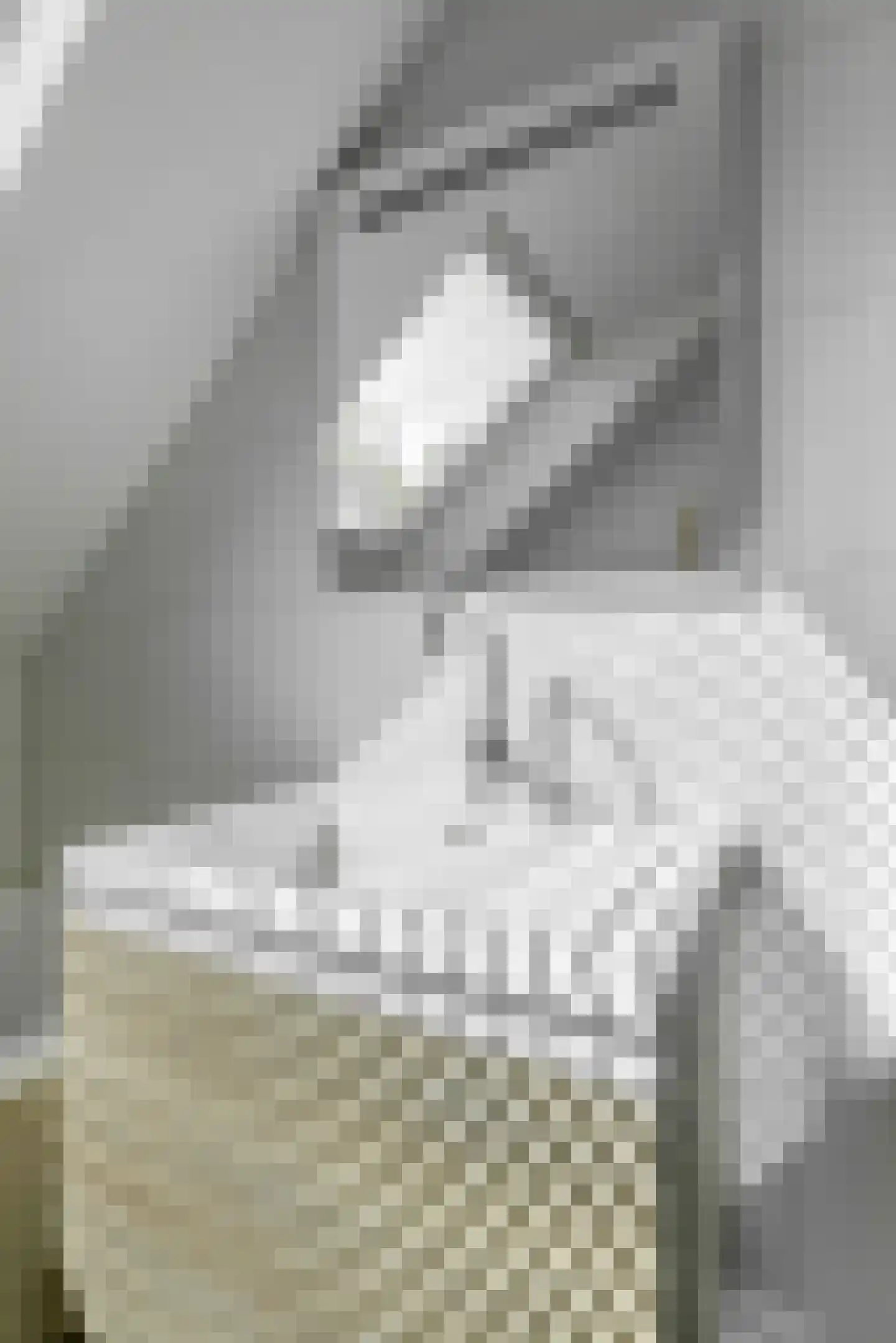 Hoendiep 27 Deurne thumbnail 34