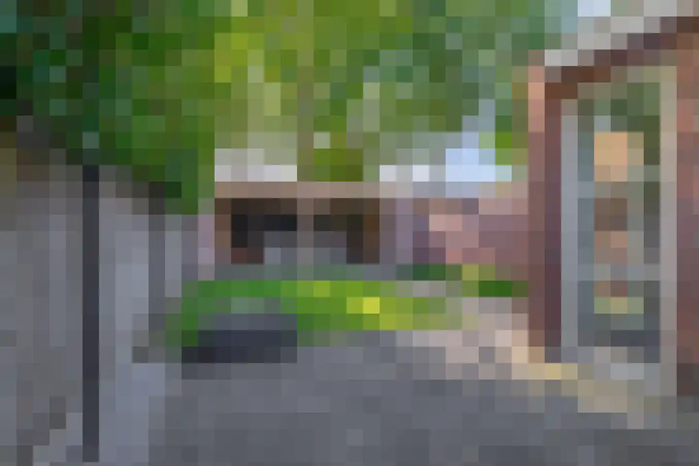 Hoendiep 27 Deurne thumbnail 40