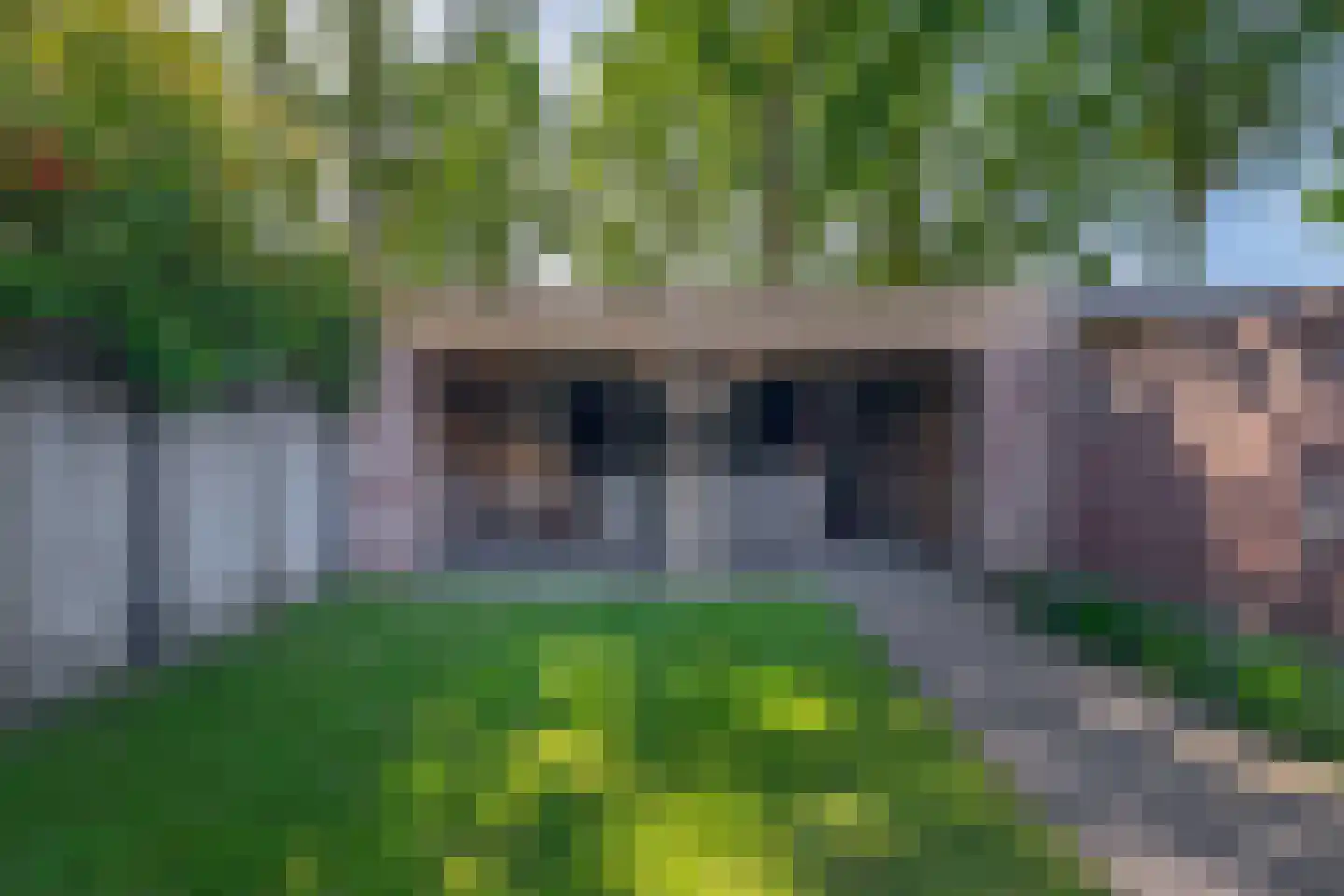 Hoendiep 27 Deurne thumbnail 42