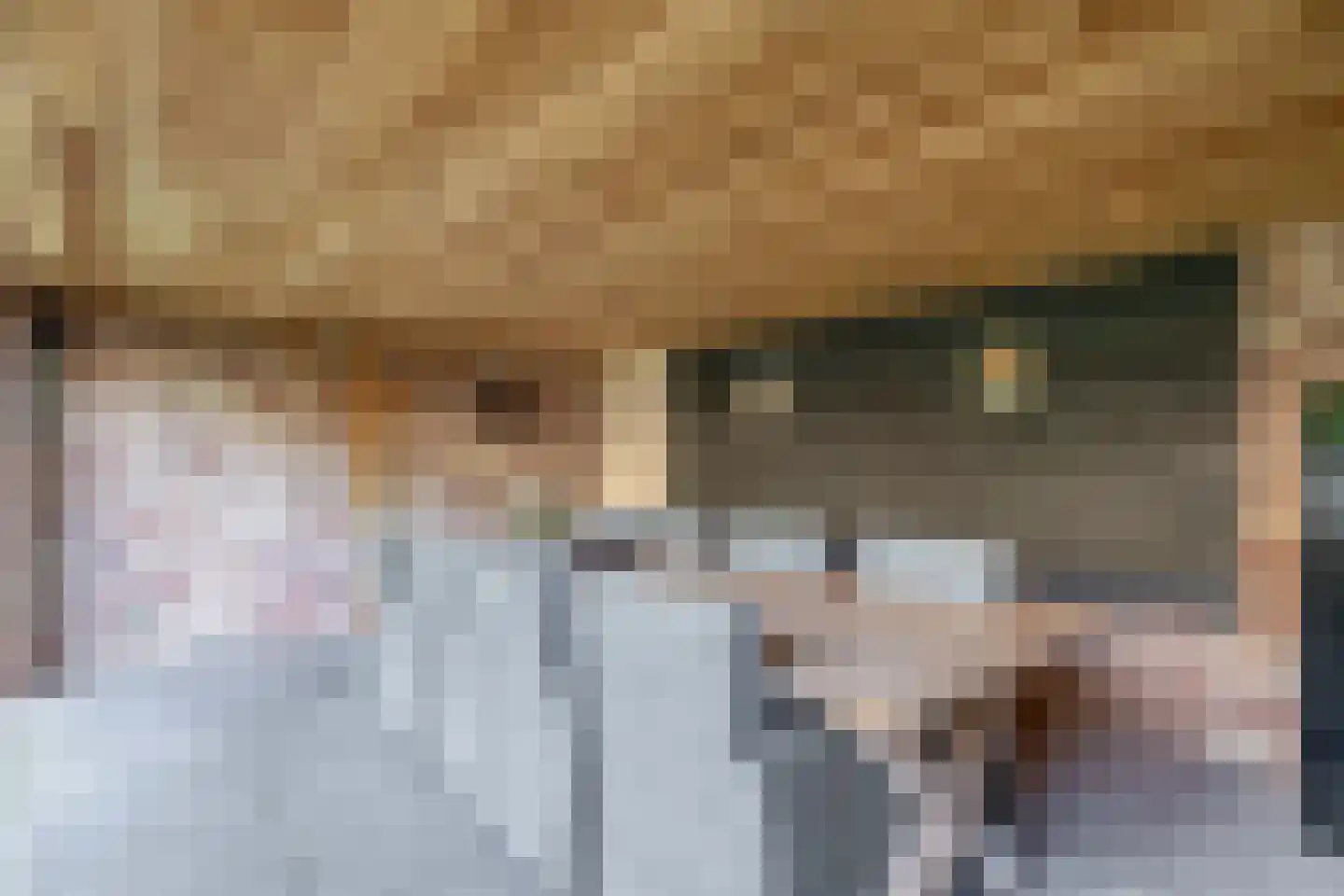 Hoendiep 27 Deurne thumbnail 43