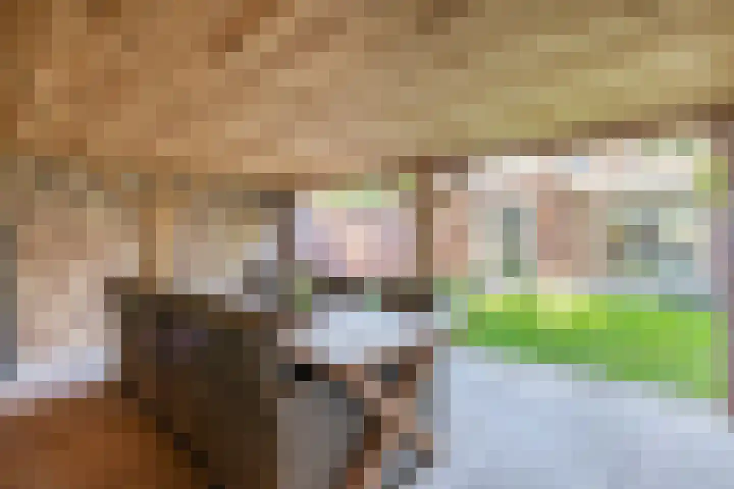 Hoendiep 27 Deurne thumbnail 44