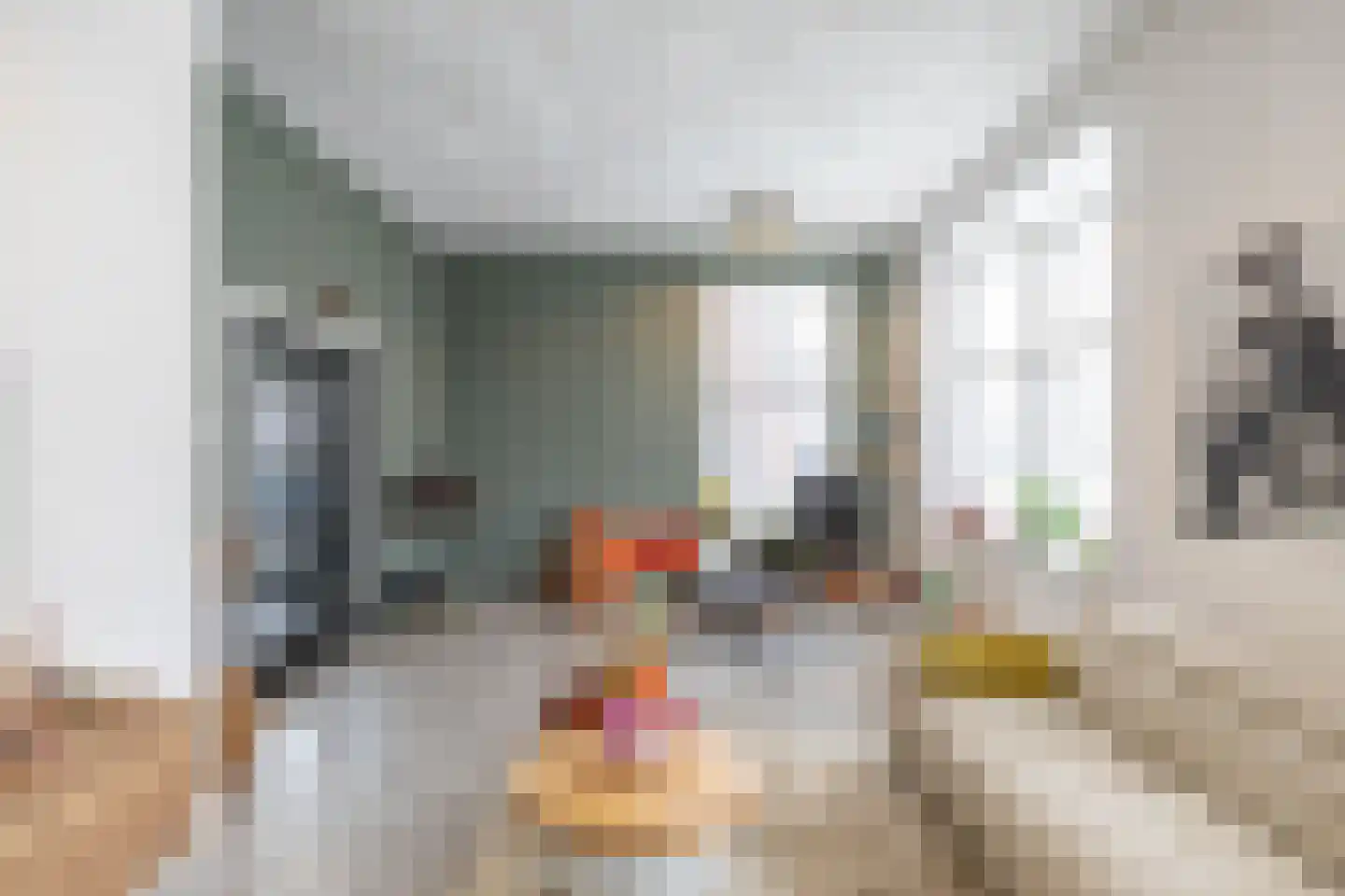 Hoendiep 300 Groningen thumbnail 11