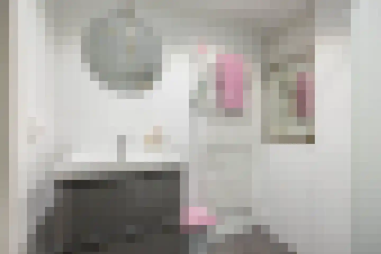 Hoendiep 300 Groningen thumbnail 17