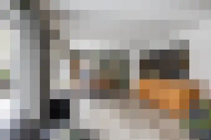 Hoendiep 300 Groningen thumbnail 20