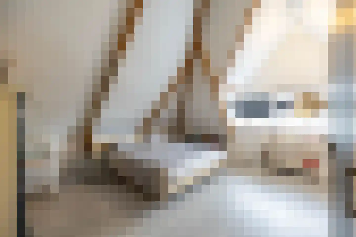 Hoendiep 300 Groningen thumbnail 28