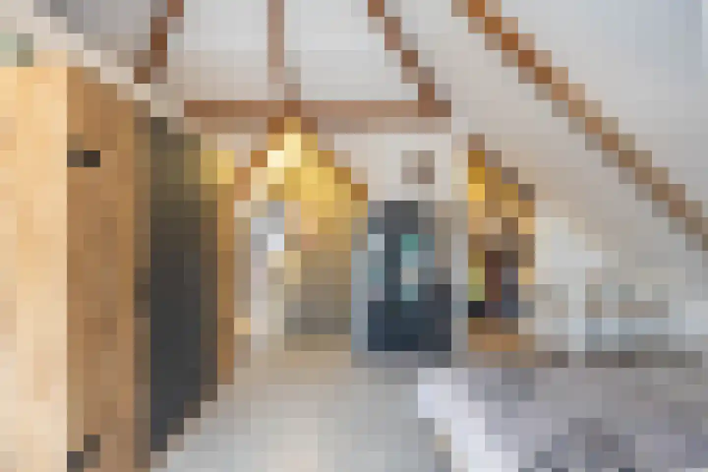 Hoendiep 300 Groningen thumbnail 29