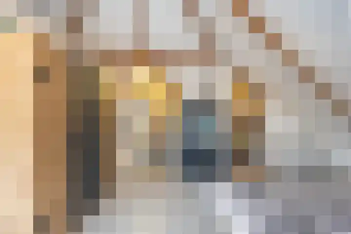 Hoendiep 300 Groningen thumbnail 29
