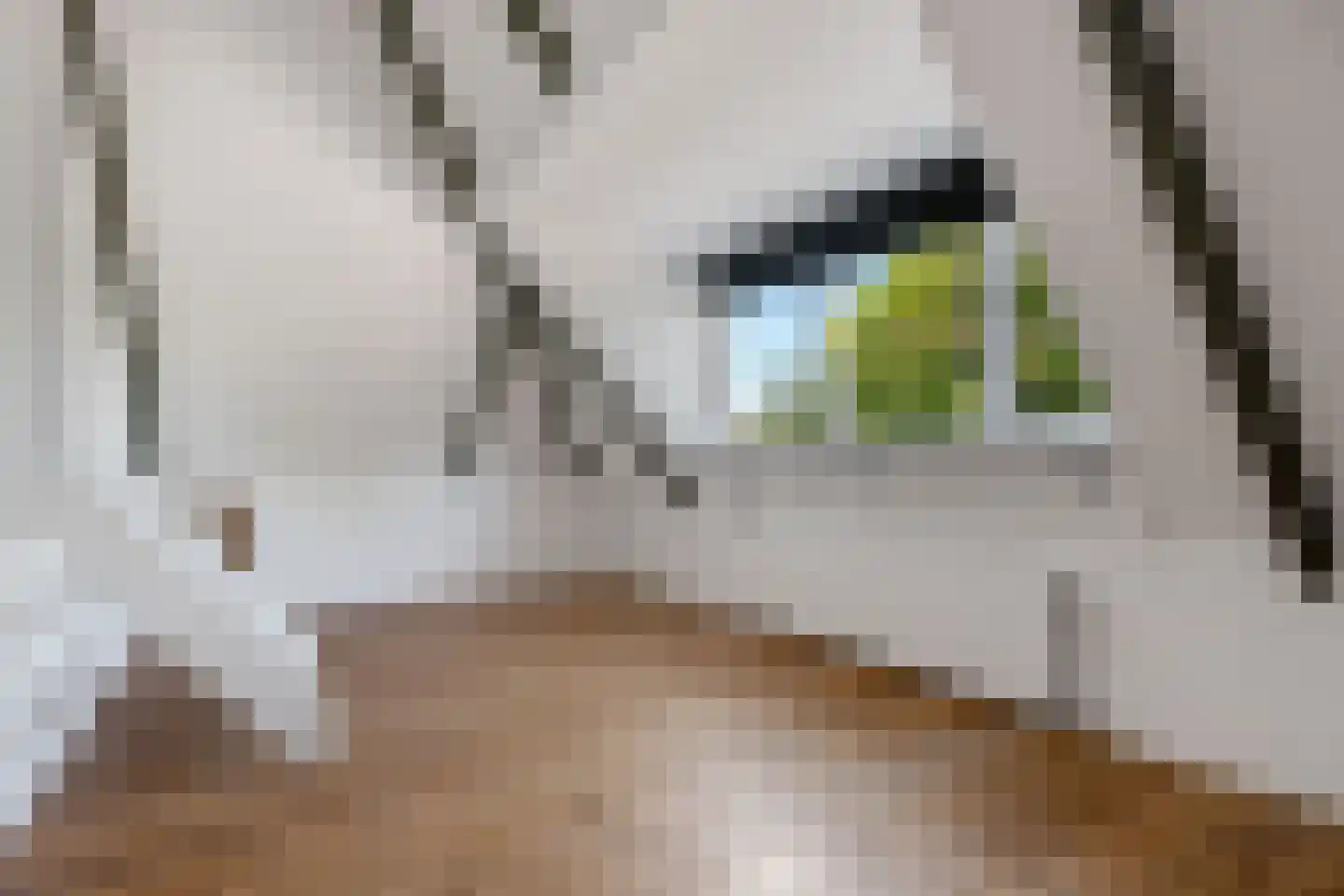 Hoendiep 300 Groningen thumbnail 31