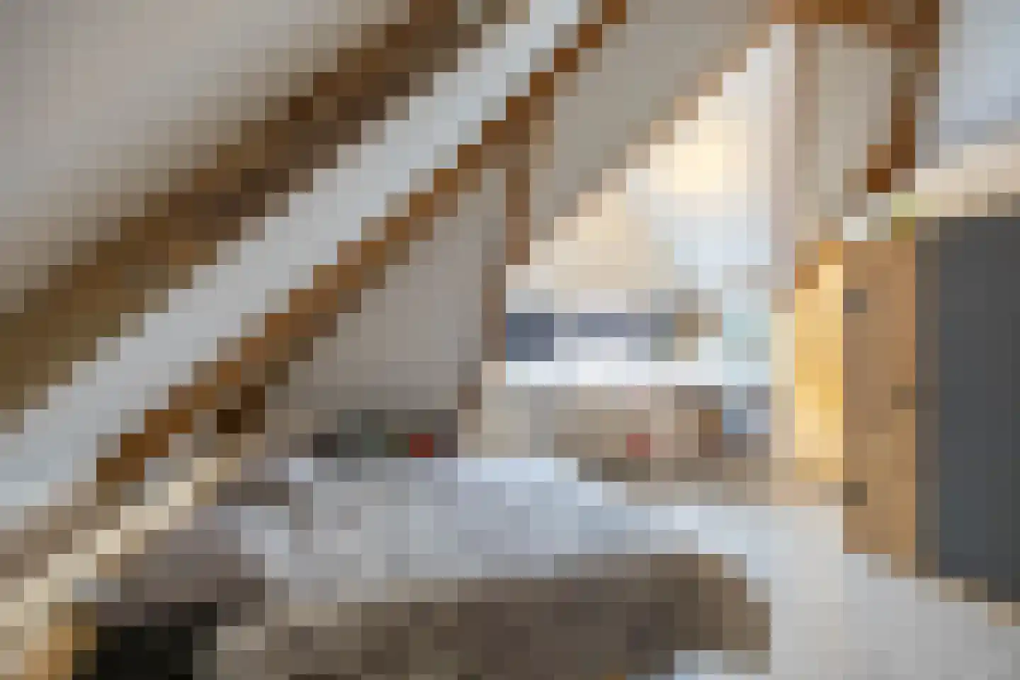 Hoendiep 300 Groningen thumbnail 31