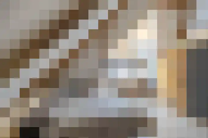 Hoendiep 300 Groningen thumbnail 31